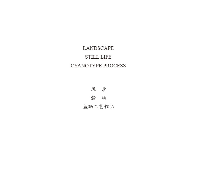 原野云上 | 艺术创作类摄影 作品040风景 静物 蓝晒工艺作品介绍